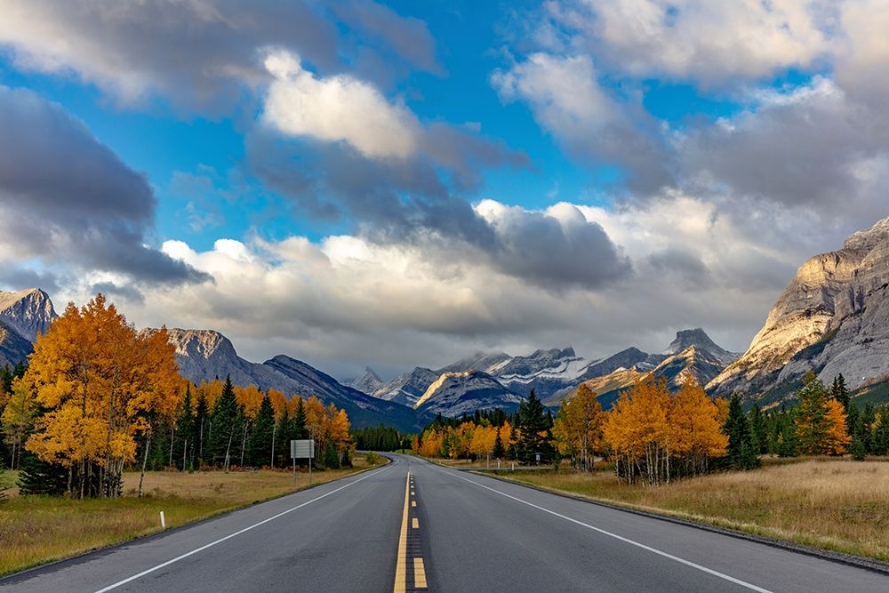 Morning light on Highway 40 in Kananaskis Country-Alberta-Canada
